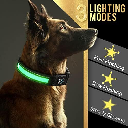 Svijetli ovratnici za pse, NOBLEZA USB punjivi ovratnik za pse, vodootporni ogrlice za pashe za noć za noćnu sigurnost