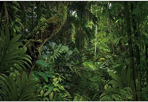 Dorcev 20x10ft Jungle Forest Photography za vanjsku kamp temu Party Pozadina opruge misteriozna prašuma džungla šumska stablo prirodne