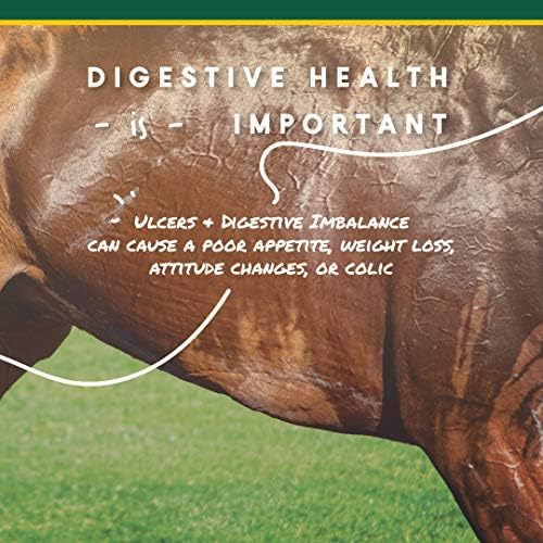 Corta-Flx u-gard peleti |svi prirodni digestivni suplementi konja za održavanje zdravlja želuca / pomaže u sprečavanju stvaranja čira