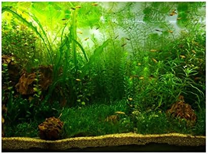 Sheens vodena travnata stil akvarij riblje rezervoar zasteljine zadebljano PVC ljepilo pozadina za naljepnice za pozadinu akvarij