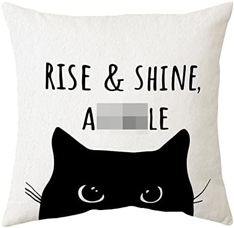 SIDHUA CAT TOMENI KORAŠTENJA jastučnice za dom, smiješni uspon i sjaj crne mačke inspirativne citate bacaju jastuk 18 x18, pokloni