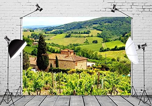BELECO 5x3ft tkanina italijanski vinograd fotografija pozadina Toskana selo Farm krajolik Kamena kuća zelena planinska stabla pozadina