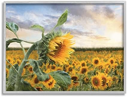 Stupell Industries svijetlo žuti Suncokreti cvjetajuće polje Sunshine Sky, dizajn Lori Deiter