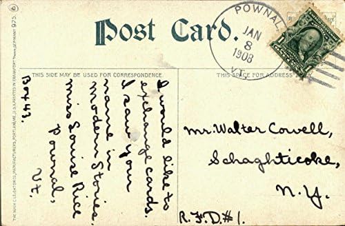 Torrey's Wood Williamstown, Massachusetts MA originalna antička razglednica 1908