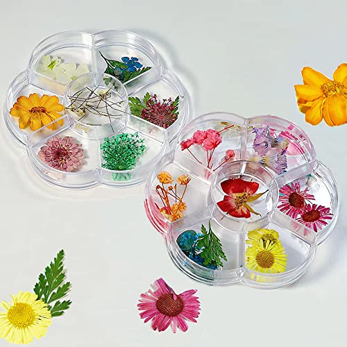3d suho cvijeće za Nail Art Flywindy 2 kutije Pomiješajte sitno suho cvijeće ostavlja naljepnicu za nokte malo prešano pravo prirodno
